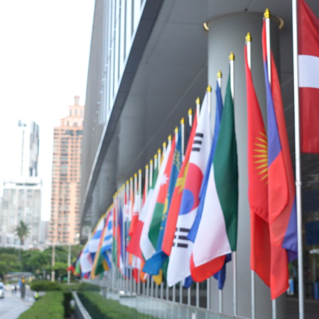 Flags at Annual Meetings in Bangkok